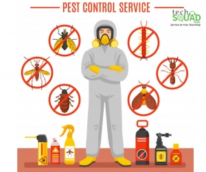 No.1 cockroach control service in Indira Nagar Bangalore